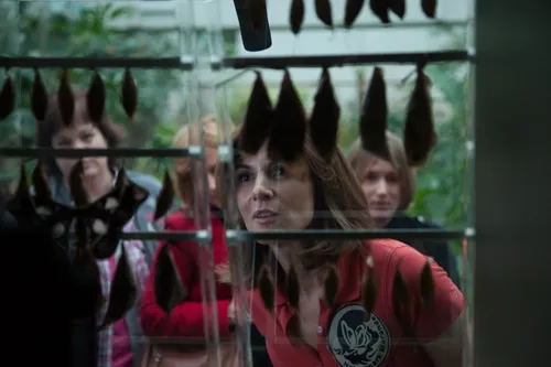 onder het hart 37041114 st 7 s low