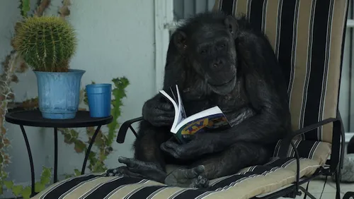 see no evil film still 1