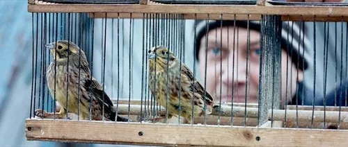 silent souls 590x250