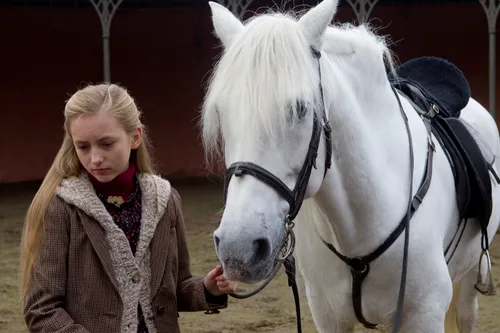 the legend of longwood 37061115 st 1 s low