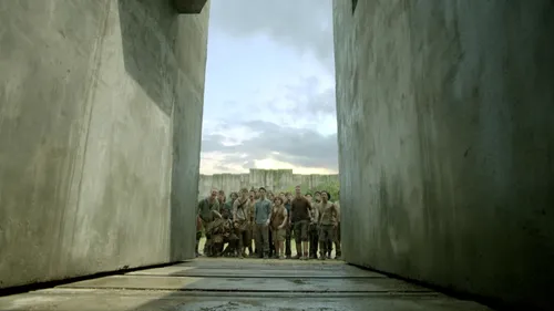 the maze runner 56031306 st 7 s low