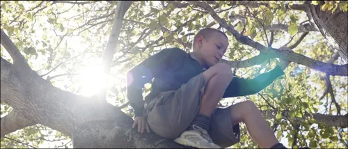 the weight of elephants 12002038 st 8 s low