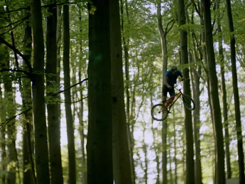 violet 12022057 st 1 s low