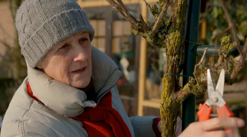 wakker in een boze droom 12002034 st 6 s low