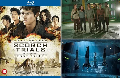 week200320 20maze20runner20 20the20scorch20trials