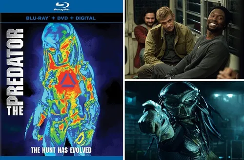 week200520 20the20predator