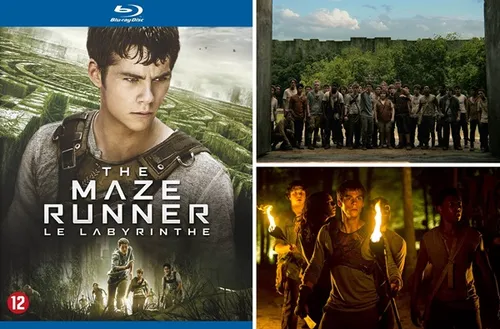 week200820 20the20maze20runner