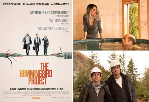 week201120 20the20hummingbird20project