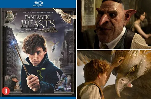 week201320 20fantastic20beasts20and20where20to20find20them