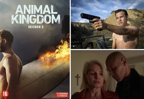 week201420 20animal20kingdom20seizoen202