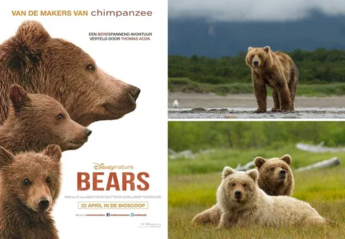 week201620 20bears