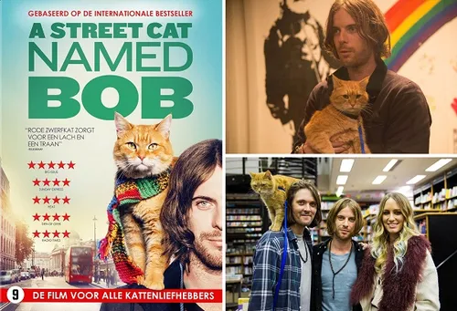 week201920 20a20street20cat20named20bob