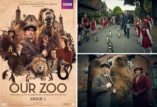 week201920 20our20zoo20serie201