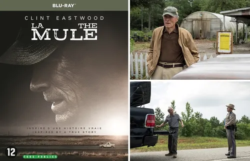 week202420 20the20mule