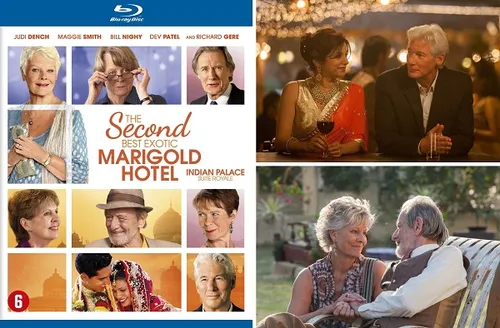 week203120 20the20second20best20exotic20marigold20hotel