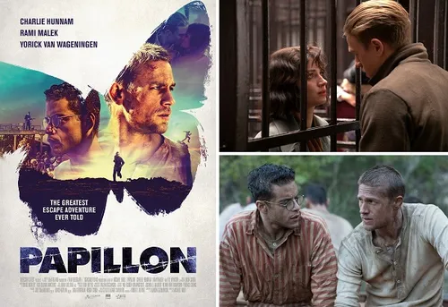 week203620 20papillon