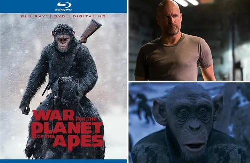 week204520 20war20for20the20planet20of20the20apes