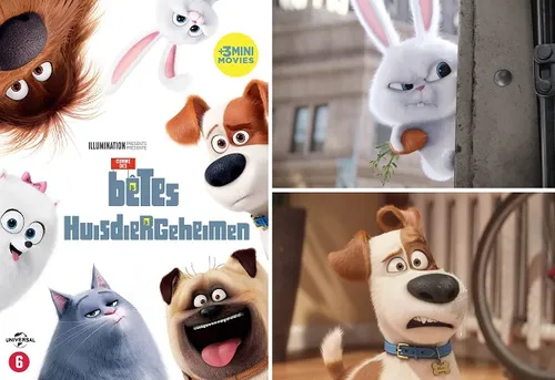 week204720 20huisdiergeheimen