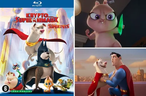 week204820 20dc20club20van20super pets