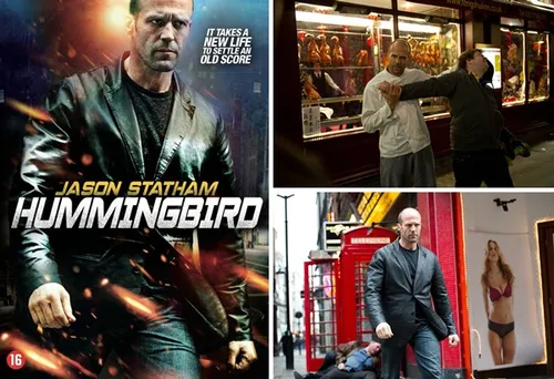 week204820 20hummingbird