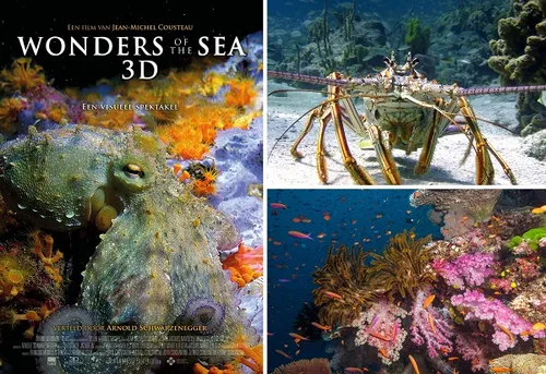 week205120 20wonders20of20the20sea203d