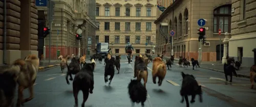 white god 26006405 st 10 s low