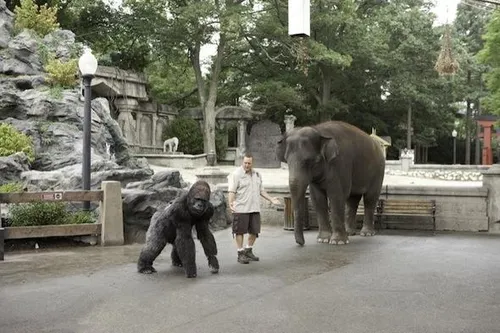 zookeeper 09030029 st 1 s low