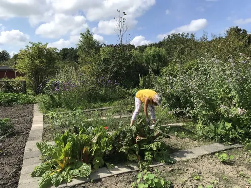 amateurtuinen20in20alkmaar