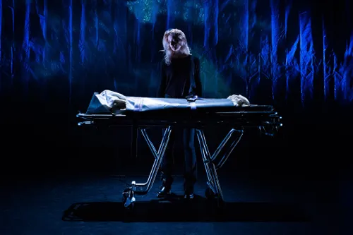 boyhazes 20171019 1051