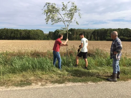 heerlijkheid20sinoutskerke20en20baarsdorp