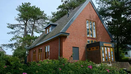 kittiwake provinsje fryslan