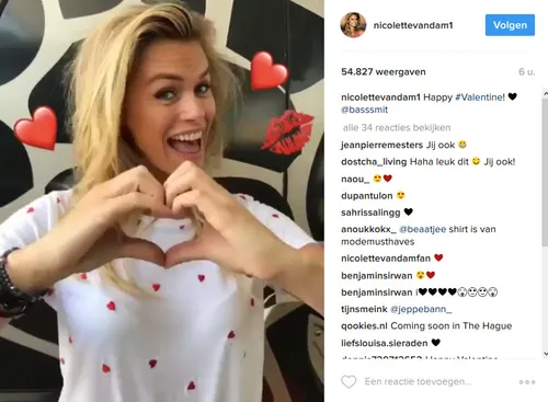 nicolette van dam valentijn