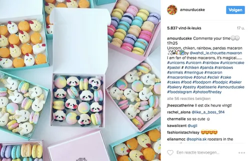 schermafbeelding 2017 01 28 om 105650