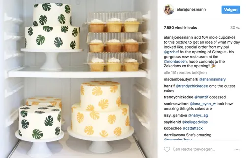 schermafbeelding 2017 02 18 om 103249