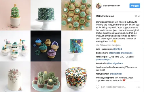 schermafbeelding 2017 02 18 om 103345