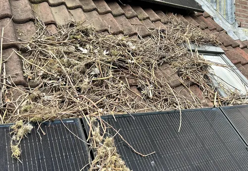 schermc2adafbeelding 2023 12 04 om 185550