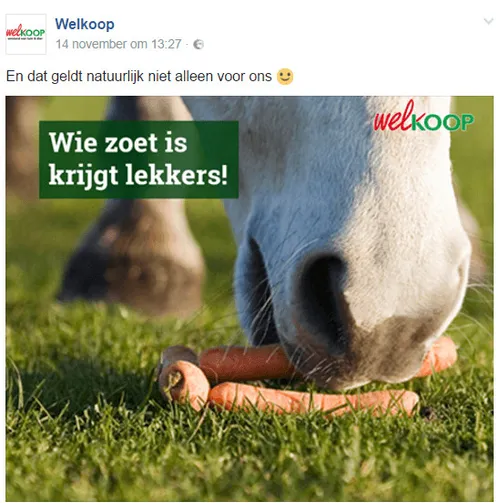 welkoop sinterklaas