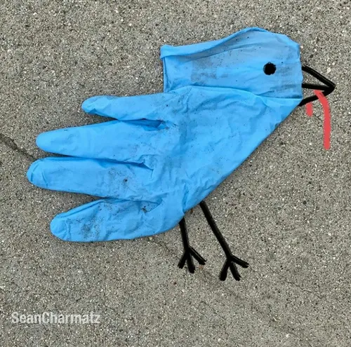 whatsapp image 2016 12 21 at 161508 1