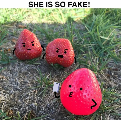 whatsapp image 2016 12 21 at 161508