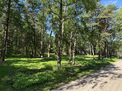 „Zuikio daržo“ teritorija Nidoje dabar / „Kas vyksta Neringoje“ nuotr.