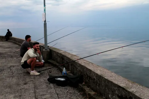 Nidos uostas / M. Patašiaus nuotr.