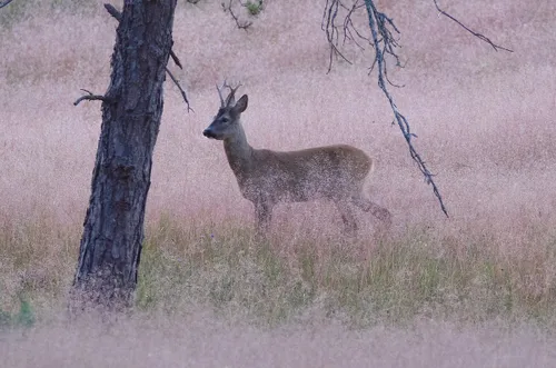 a58889fbd2964cd003080613557607ef