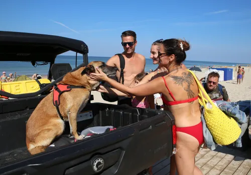 248ee4a5e261dd1b9c85c71ecdf5fe0e scaled