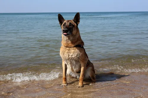 306651449e68c7e7007f0616067b46ff scaled