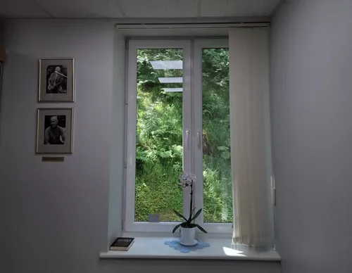 Žaluma už lango./S. Javaitytės nuotr.