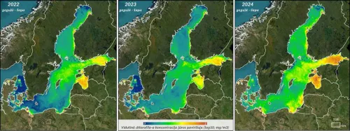 Chlorofilo kiekis / VU nuotr.