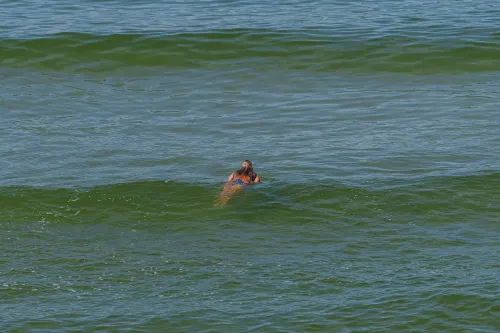 Nidos pajūris. / R. Tenio nuotr.