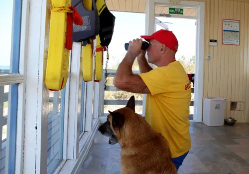 9d40efbcaf44b9018f0d8d12015f693c scaled