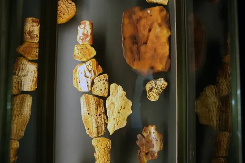 Mizgirių gintaro muziejus./M. Patašiaus nuotr.