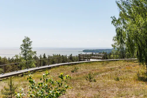 Preilos (Menininkų) kopa./R. Tenio nuotr.